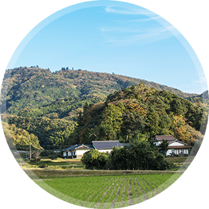 田舎暮らしが好き